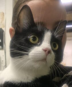 Smuk og sød Til salg